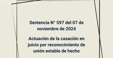 Sentencia N° 597 del 07 de noviembre de 2024 - Actuación de la casación en juicio por reconocimiento de unión estable de hecho