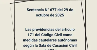 Sentencia N° 677 del 29 de octubre de 2025 - Las providencias del artículo 171 del Código Civil como medidas cautelares autónomas según la Sala de Casación Civil del TSJ