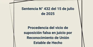 Sentencia N° 432 del 15 de julio de 2025 - Procedencia del vicio de suposición falsa en juicio por Reconocimiento de Unión Estable de Hecho