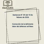 Sentencia N° 09 del 18 de febrero de 2026 - Corrección de la deficiente labor del defensor ad litem