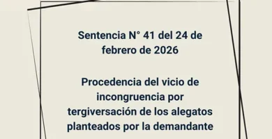 Sentencia N° 41 del 24 de febrero de 2026 - Procedencia del vicio de incongruencia por tergiversación de los alegatos planteados por la demandante