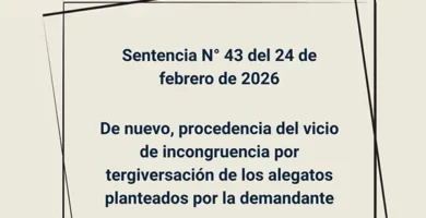 Sentencia N° 43 del 24 de febrero de 2026 - De nuevo, procedencia del vicio de incongruencia por tergiversación de los alegatos planteados por la demandante