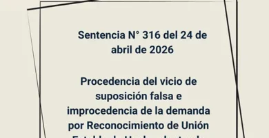Sentencia N° 316 del 24 de abril de 2026 - Procedencia del vicio de suposición falsa e improcedencia de la demanda por Reconocimiento de Unión Estable de Hecho planteada